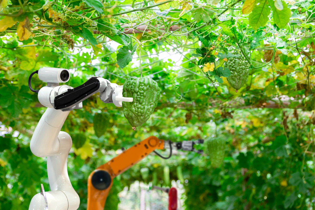 Smart robotic farmers harvest in agriculture futuristic robot automation to work technology increase efficiency